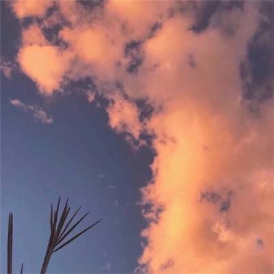 山海经神兽bt版下载